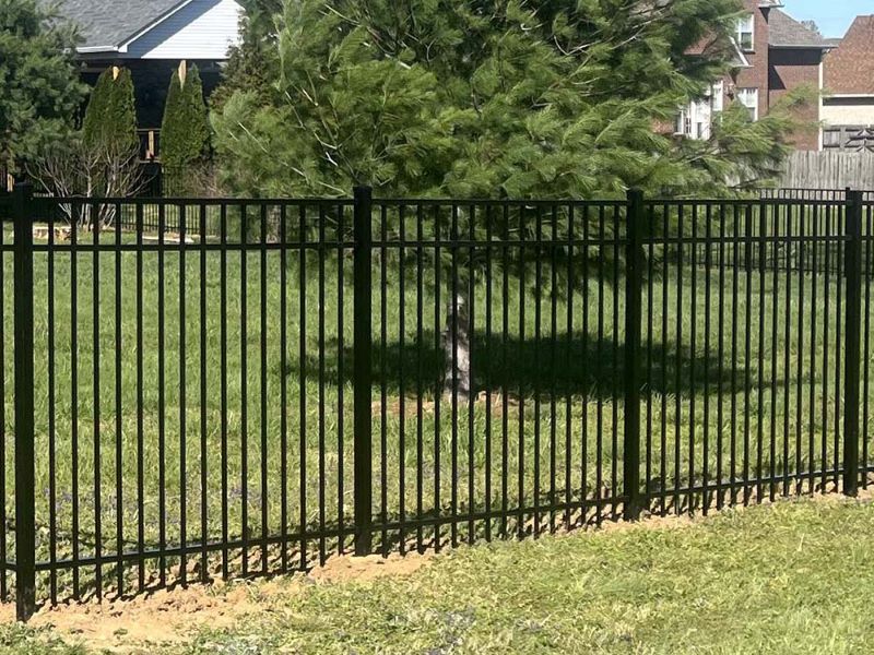 ornamental steel fenceWhite House Tennessee